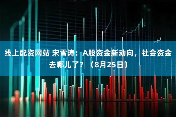 线上配资网站 宋雪涛：A股资金新动向，社会资金去哪儿了？（8月25日）