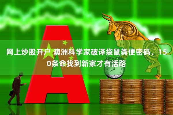 网上炒股开户 澳洲科学家破译袋鼠粪便密码，150条命找到新家才有活路