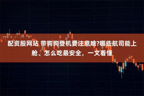 配资股网站 带狗狗登机要注意啥?哪些航司能上舱、怎么吃最安全，一文看懂