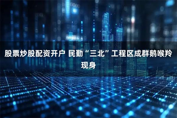 股票炒股配资开户 民勤“三北”工程区成群鹅喉羚现身