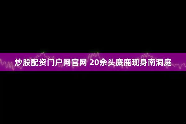 炒股配资门户网官网 20余头麋鹿现身南洞庭