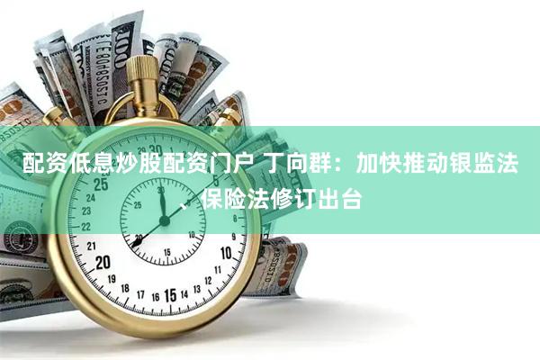 配资低息炒股配资门户 丁向群：加快推动银监法、保险法修订出台