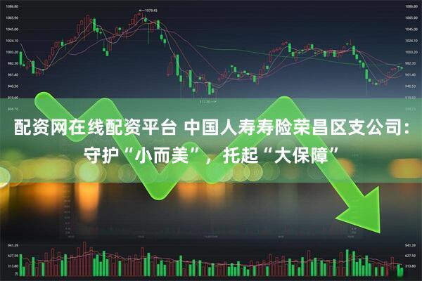 配资网在线配资平台 中国人寿寿险荣昌区支公司：守护“小而美”，托起“大保障”
